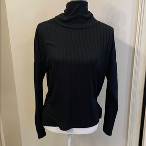 Banana Republic Black Ribbed Turtleneck Sweater - Women